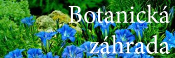 ubytovanie tatry botanicka lomnica