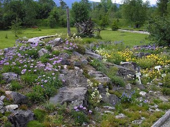 penzion tatry/botanicka zahrada3